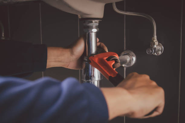 Best Clogged Drain Plumber  in Oak Grove, TN